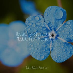 Relaxing Sleep Aid - Meditation Music Mix - Yoga Namaste