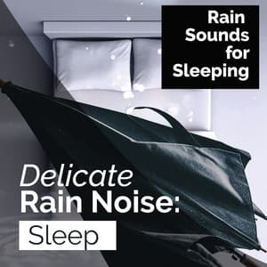 Delicate Rain Noise: Sleep - Rain Sounds for Sleeping