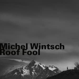 Roof Fool - Michel Wintsch