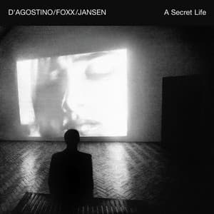 A Secret Life - John Foxx