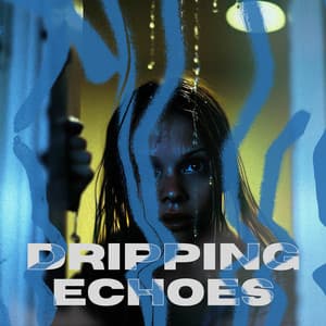 Dripping Echoes - After Work Chillout Zone