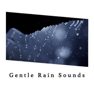 Gentle Rain Sounds - Rain Sounds Nature Collection