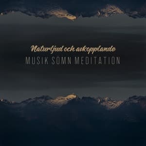 Naturljud och avkopplande Musik Sömn Meditation: Öppna dig Själv med New Age-musik - Andlig Musiksamling
