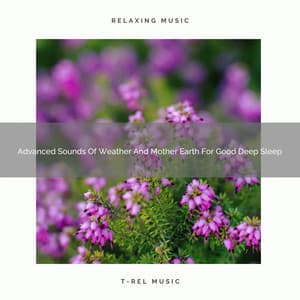 Advanced Sounds Of Weather And Mother Earth For Good Deep Sleep - Water Soundscapes