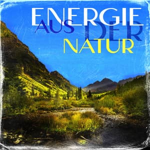 Energie aus der Natur - Frank South
