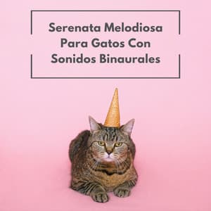 Serenata Melodiosa Para Gatos Con Sonidos Binaurales - Música Relajante para Gatos