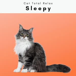 4 Cat: Sleepy - Cat Total Relax