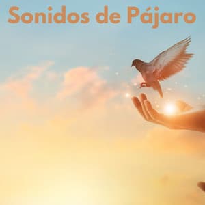Sonidos de Pájaro - Sonidos Naturales del Pajaro