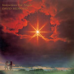 Instructions For Angels - David Bedford