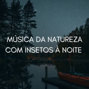 Música Da Natureza Com Insetos À Noite - Musica para Massagem Especialistas