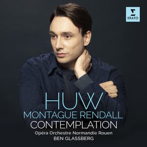 Contemplation - Huw Montague Rendall