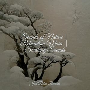 Sounds of Nature | Relaxation Music | Soothing Sounds - Lullabies for Deep Meditation