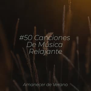 #50 Canciones De Música Relajante - Musica romantica instrumental