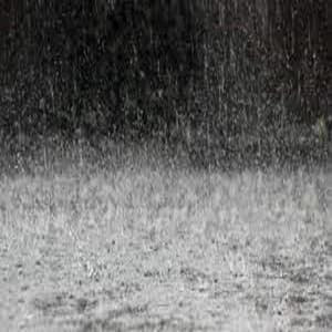 Rainfall for Sleep - Rainfall Sounds