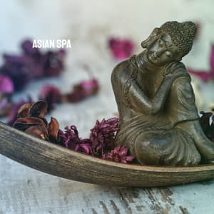 Asian SPA - Relaxing Mindfulness Meditation Relaxation Maestro