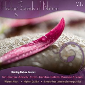 Healing Nature Sounds for Insomnia, Anxiety, Stress, Tinnitus, Babies, Massage & Yoga - Vol. 2. - The Healing Sounds of Nature