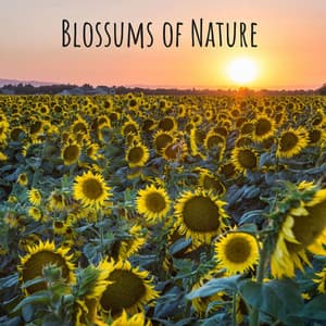 Blossums of Nature - FX & Effects