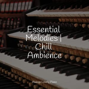 50 Chillout Music to Relax to - Bar Lounge