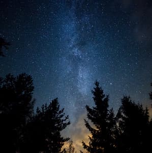 Majestic Canopy - Arctic Comfort