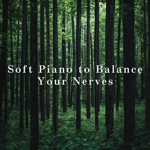 Soft Piano to Balance Your Nerves - Relaxing BGM Project
