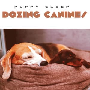 Dozing Canines - Puppy Sleep
