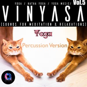 Vinyasa, Vol.5 - Hatha Yoga