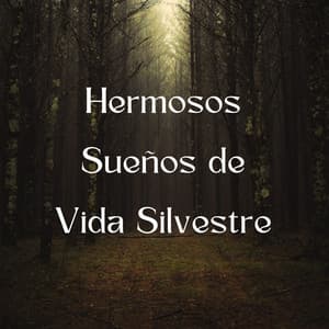 Hermosos Sueños De Vida Silvestre - Grabaciones de sonido de vida silvestre