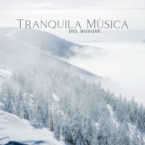 Tranquila Música del Bosque - Academia de Música con Sonidos de la Naturaleza
