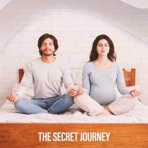 The Secret Journey - Healing Music Academy