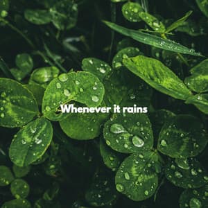 Whenever it rains - Trabajar desde Casa