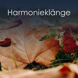 Harmonieklänge - Musik für Yoga