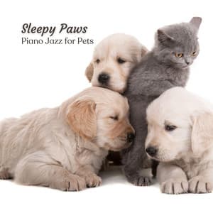 Sleepy Paws: Piano Jazz for Pets - Cocktail Piano Bar Jazz