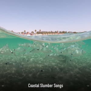 !!!!" Coastal Slumber Songs "!!!! - Ocean Waves
