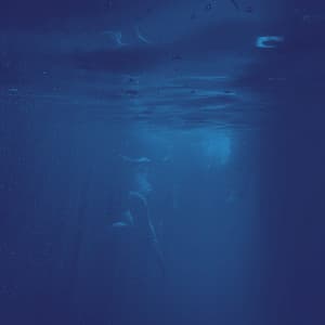 Nature's Flow: Chill Harmonies of Water's Dance - Nature Soundscape