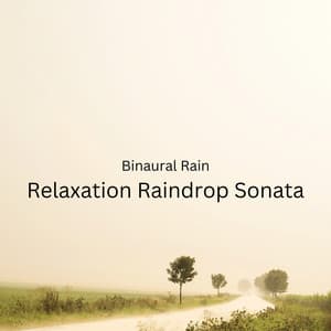 Binaural Rain: Relaxation Raindrop Sonata - Pure Binaural Beats