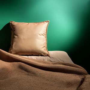 Melodías De La Tranquilidad: Música Para El Reposo - Curva en calma