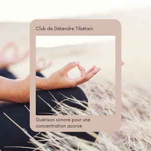 Guérison sonore pour une concentration accrue - Club de Détendre Tibétain