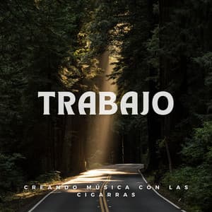 Trabajo: Creando Música con las Cigarras - Mago de la melodía animal