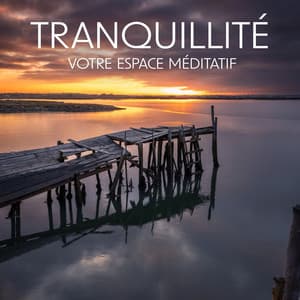Tranquillité: Votre Espace Méditatif - Espace détente