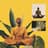 Solfeggio / Some Music to Meditate