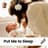 Natural Baby Sleep Aid Academy