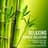 Tao Te Ching Music Zone