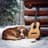 Chilled Background Guitar Music