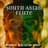 Buddhist Experience World