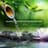 Calming Waters Consort