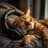 Cat Relaxation