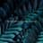 Tranquil Forest Effect