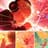 Womb Sounds