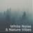 White Noise Rain