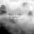 LFO Waves